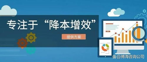 2024年專注采購降本的降本增效咨詢機構(gòu)最新排名（信息技術(shù)咨詢服務(wù)領(lǐng)域）